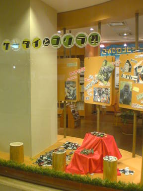 20081125173323 20081125173323