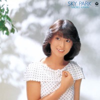 河合奈保子『スカイ・パーク』