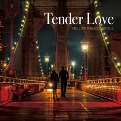 『Tender Love - MELLOW R&B ESSENTIALS』