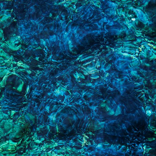 青葉市子「Luminescent Creatures」