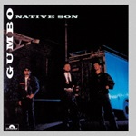 ガンボジャケ写