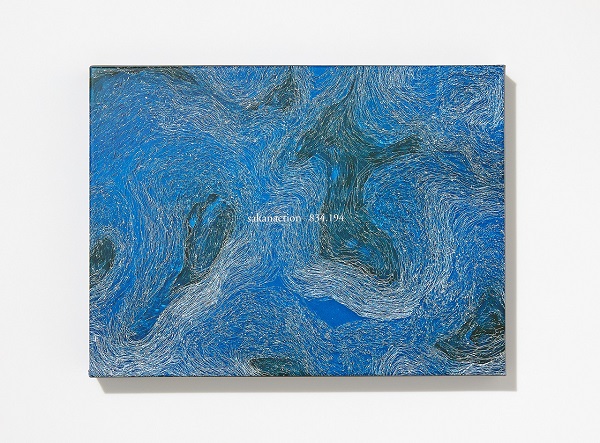 サカナクション