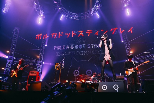 ポルカドットスティングレイ