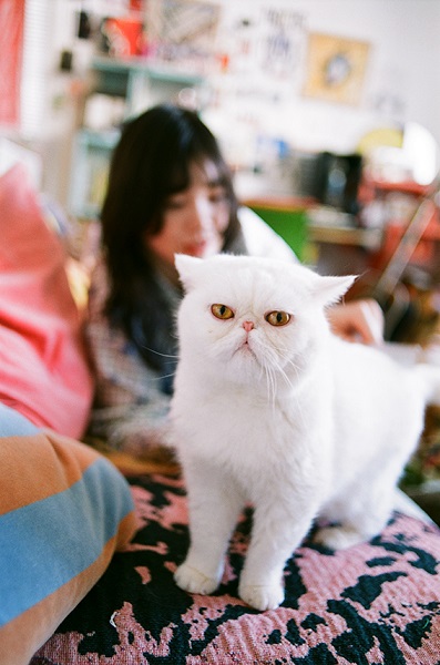 セントチヒロ・チッチ