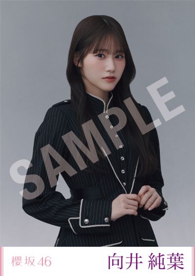 カ*ン様 櫻坂46向井純葉 直筆生写真 櫻坂46 4thツアー 向井純葉 生写真 直筆サイン - メルカリ