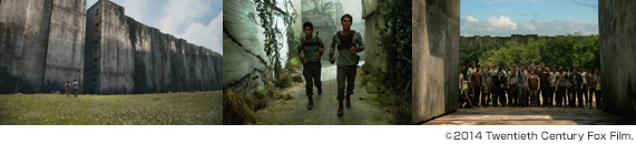 メイズ・ランナー