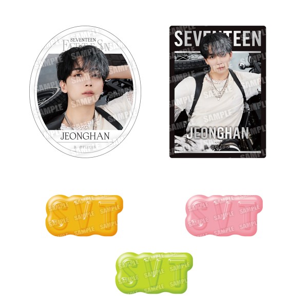 K-POPグループ『SEVENTEEN』のシール付きツインウエハースと K-POPグループ『SEVENTEEN』のシール付きツインウエハースと