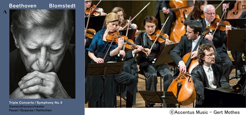 ブロムシュテット②