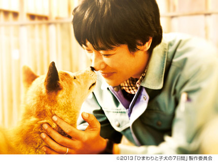 ひまわりと子犬の7日間