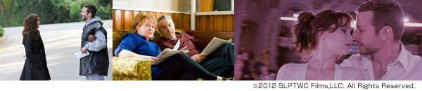 世界にひとつのプレイブック