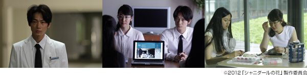 シャニダールの花