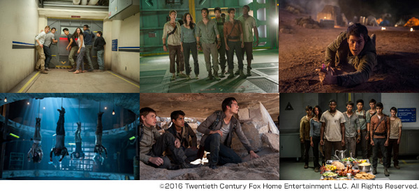 メイズ・ランナー2:砂漠の迷宮