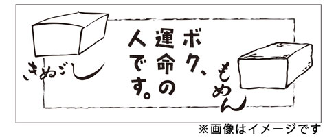 主演 亀梨和也、出演 木村文乃、山下智久のドラマ『ボク、運命の人です。』がBlu-ray＆DVD-BOXに - TOWER RECORDS ONLINE