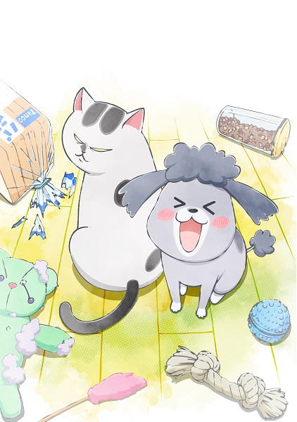 TVアニメ『犬と猫どっちも飼ってると毎日たのしい』Blu-rayが10月27日 