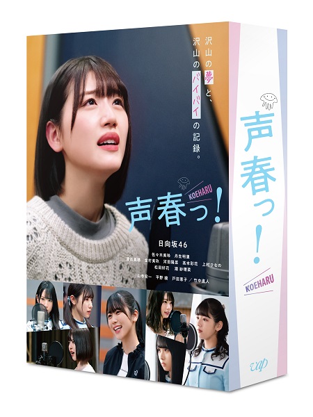 在庫好評3年目のデビュー Blu-ray豪華版 [ 日向坂46 ] アイドル