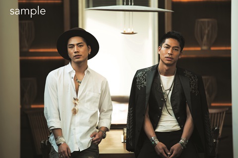 THE VISUAL DICTIONARY