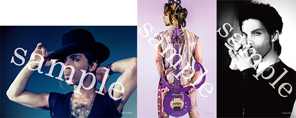 PICTURING PRINCE プリンスの素顔