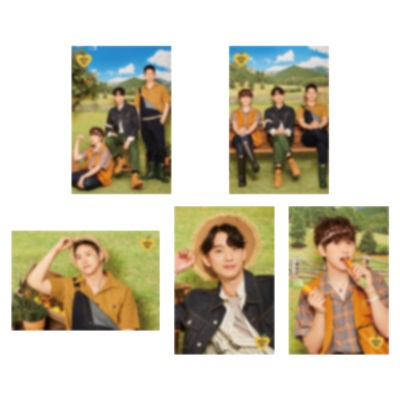 B1A4 2021シーズングリーティング 『B1A4's HAPPY FARM』 ［CALENDAR+DVD+GOODS］_2