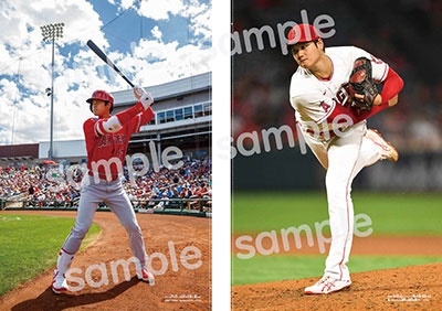 ベースボールヒーロー 大谷翔平 BOOK_9