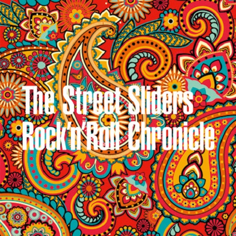 新品即決 Street The Sliders Chronicl… Rock'n'Roll アート・デザイン 
