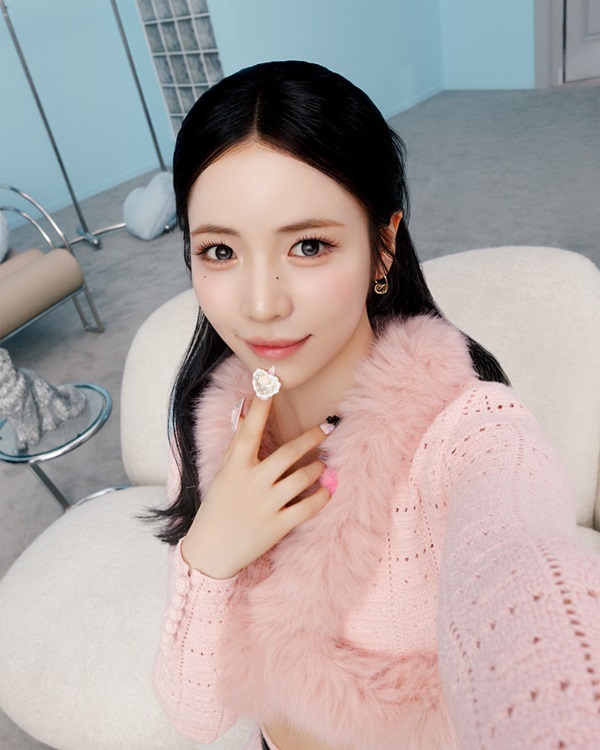 まっしろなちょうちょ