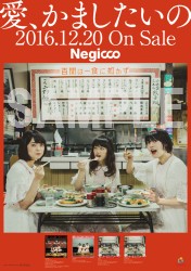 Negicco