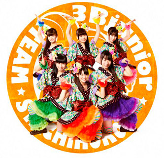 チームしゃちほこ