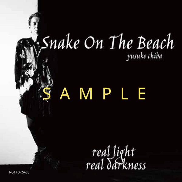 YUSUKE CHIBA-SNAKE ON THE BEACH-｜ニューアルバム『real light real 
