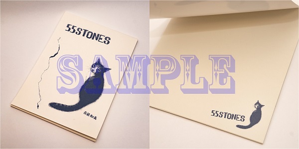 斉藤和義｜ニューアルバム『55 STONES』3月24日発売 - TOWER RECORDS ...