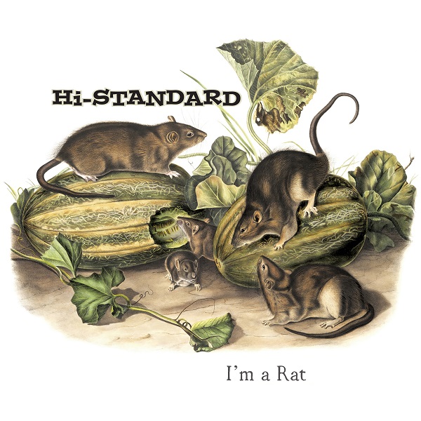 Hi-STANDARD｜『I'm a Rat』7inchピクチャー・ディスク仕様がファット 