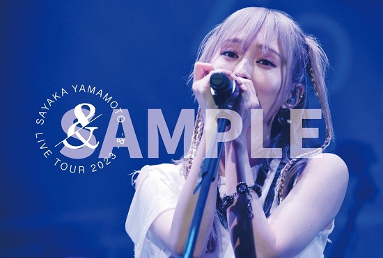 SAYAKA YAMAMOTO LIVE TOUR 2023 -\u0026-FC限定盤