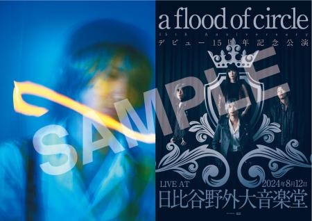 a flood of circle｜ニューEP『CANDLE SONGS』3月13日発売 - TOWER 