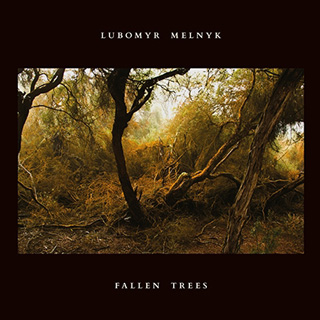 Lubomyr Melnyk（ルボミール・メルニク）ニュー・アルバム『Fallen Trees』