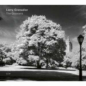 Larry Grenadier（ラリー・グレナディア）『The Gleaners』
