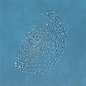 The Expansions（エクスパンションズ）日本独自企画盤『Murmuration & Mosaic Special Edition』