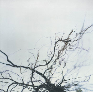 YUTAKA HIROSE(広瀬豊)『Nova』