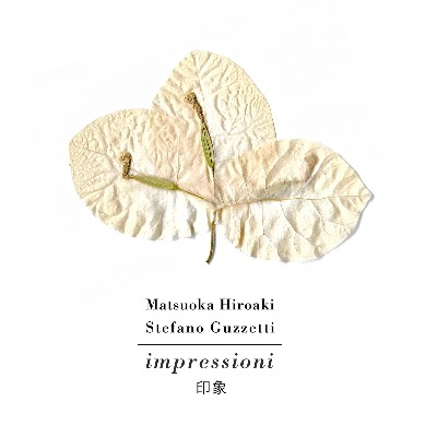 Matsuoka Hiroaki + Stefano Guzzetti(松岡宏明+ステファノ・グッツェッティ)コラボ作『インプレッショーニ/印象』