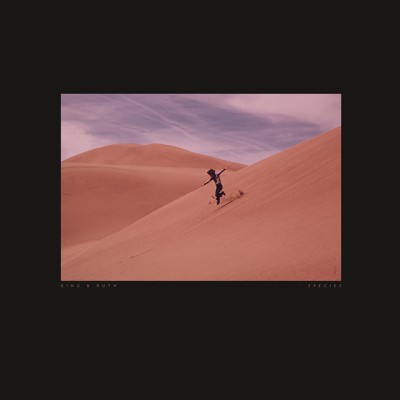 Bing & Ruth（ビング・アンド・ルース）『Species』