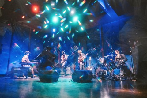 Gecko & Tokage Parade