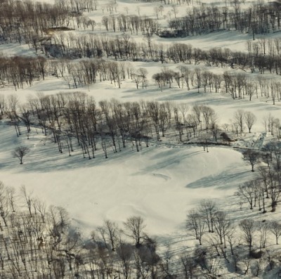 トウヤマタケオ『四辺は森として』