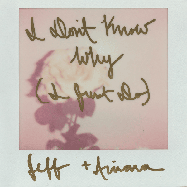 Jeff Goldblum & The Mildred Snitzer Orchestra