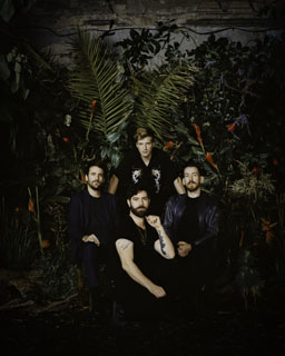 Foals