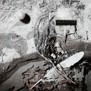 David Sylvian（デヴィッド・シルヴィアン）4枚のアルバムがデラックスLP盤で発売 - TOWER RECORDS ONLINE