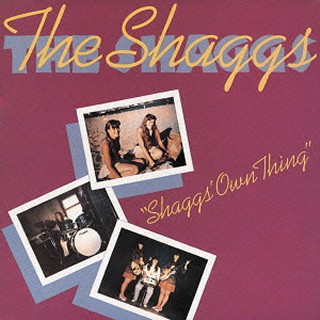 The Shaggs（シャッグス）｜ザッパも愛した最強アウトサイダー姉妹の2ndアルバムが待望のリイシュー - TOWER RECORDS ONLINE