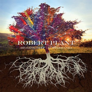 Robert Plant（ロバート・プラント）