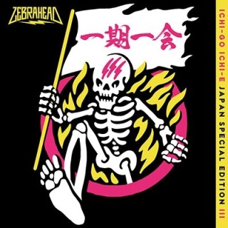 Zebrahead（ゼブラヘッド）｜世界に笑顔とエナジーを注入するポップ