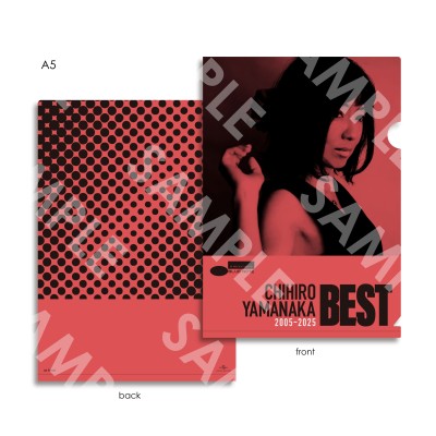 A5クリアファイル