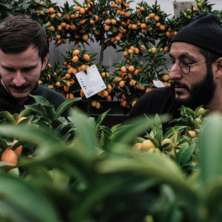 Shakarchi & Straneus