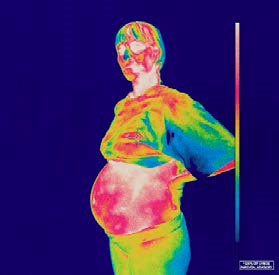 Brockhampton(ブロックハンプトン)アルバム『Iridescence』