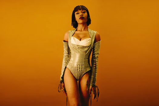 Sudan Archives(スーダン・アーカイヴス)